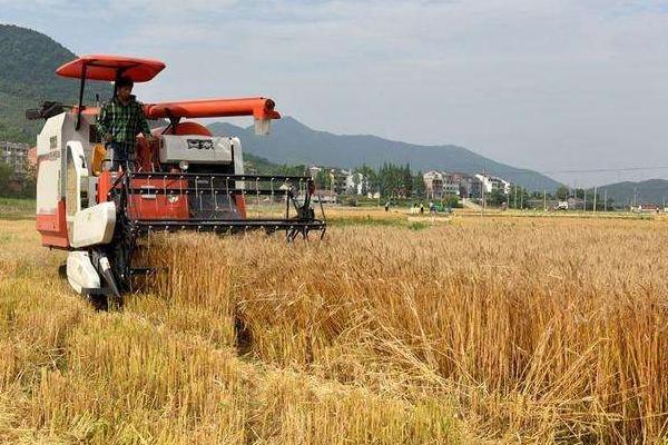 提高粮食收购价格就能刺激种粮积极性吗？——一个悬而未决的民生难题